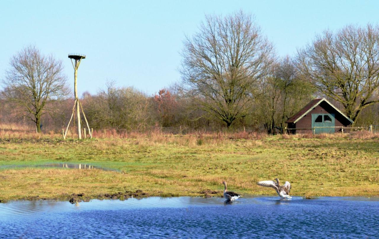 Bed & Breakfast Maryland Heusden  エクステリア 写真